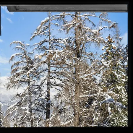 Dents-rousses D2 - 4 Pers - *